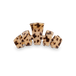 Blonde Tortoise