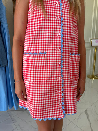Red Gingham Sleeveless Shift Dress with Pockets