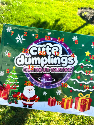 Squishy Advent Calendar PREORDER.