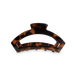 Medium Tortoise